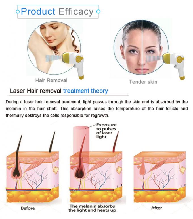 808 Nm Permanent Diode Laser Hair Removal Machine Comfortable Pain