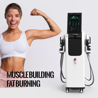 Ce Certified Ems Sculpting Machine Hifem Beauty Muscle Instrument Automatic Professional