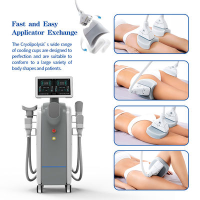 Non Invasive Cryolipolysis Weight Loss Machine Cellulite Treatment Machine