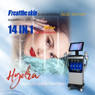 Skincare 14 In 1 Hydra Beauty Water Jet Machine Blackhead Remover Tool
