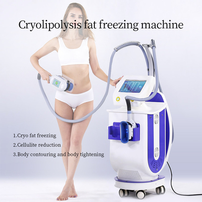 Led Cryolipolysis Vacuum Machine Fat Cellulite Freezing Cavitation Weight Loss Vertical