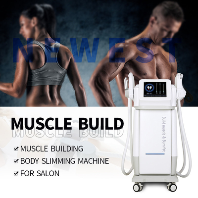 220v Ems Muscle Stimulating Slim Beauty Machine ems sculpting Non Invasive