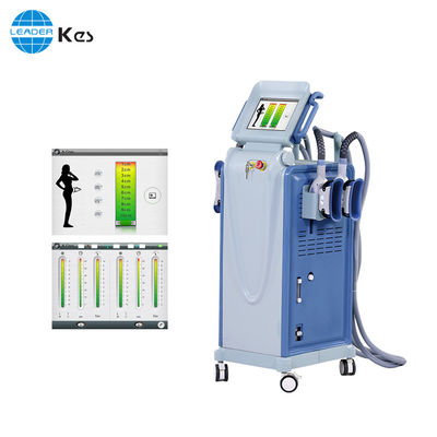 Weight Loss Cryo Lipolysis Beauty Machine With Double Cooling Plates