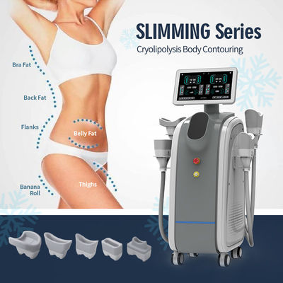 Slimming Freezer Weight Loss Machine 1500W Power Cryolipolysis OEM